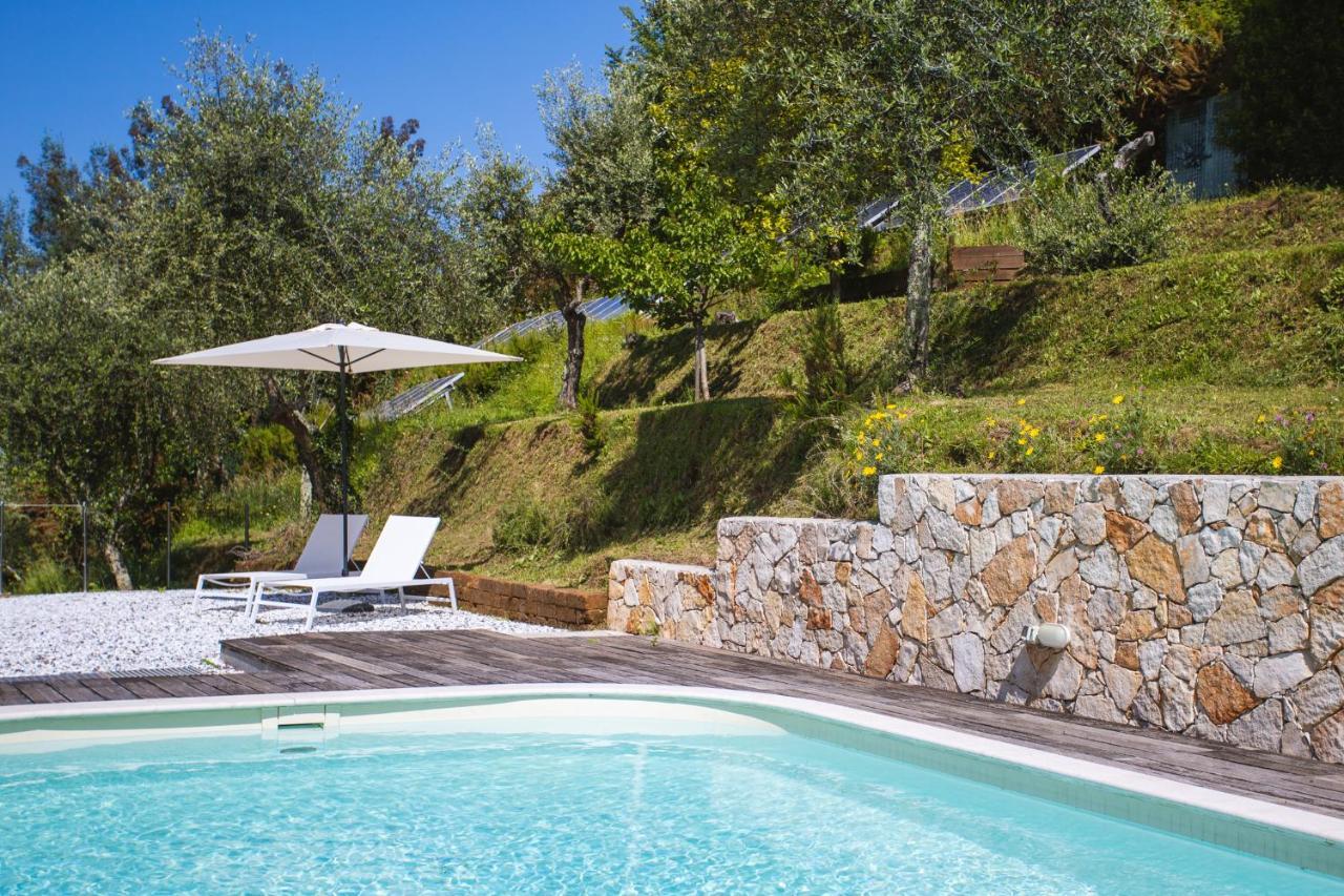 Villa Borgovecchio B&B Camaiore Extérieur photo